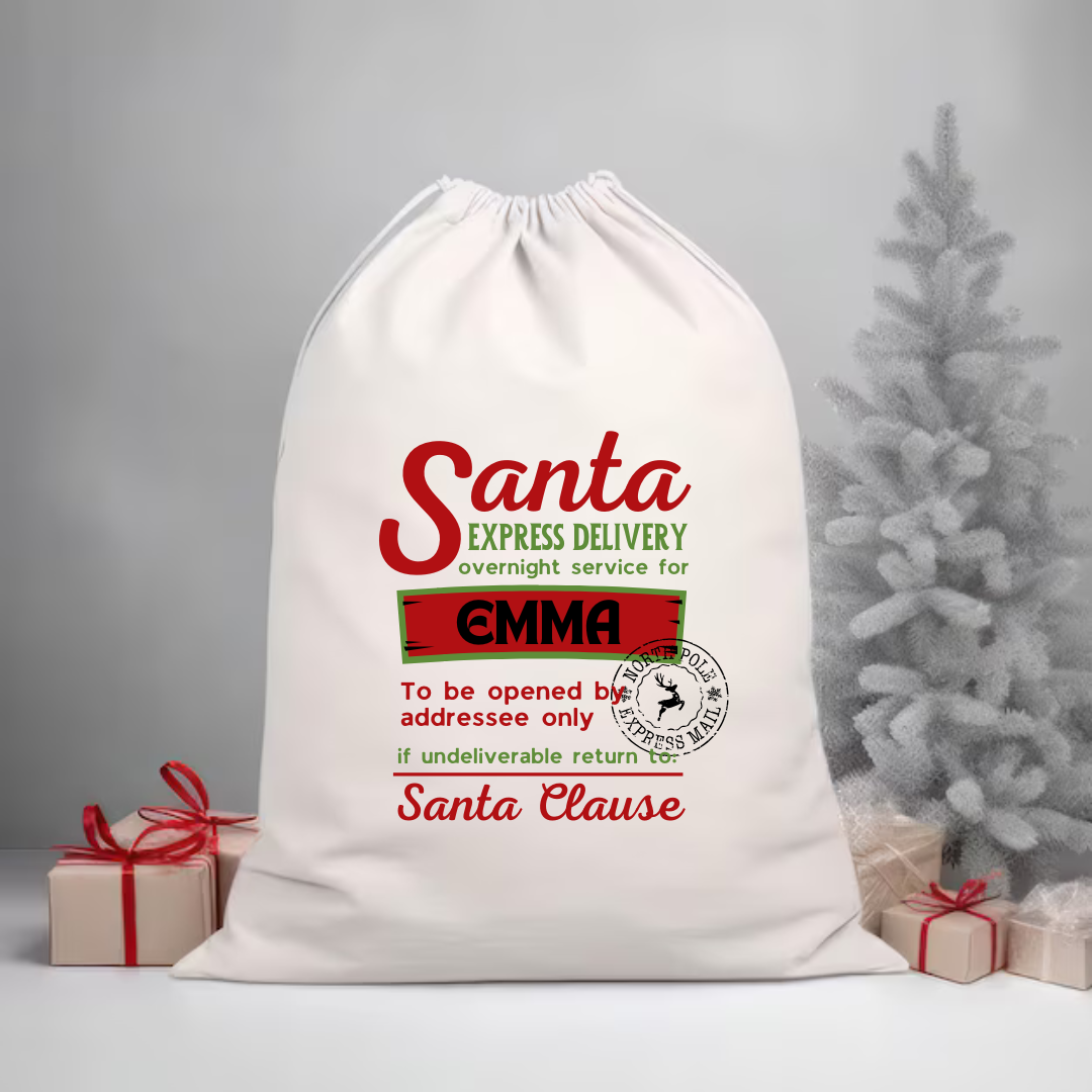 Santa Express Delivery Santa Sack
