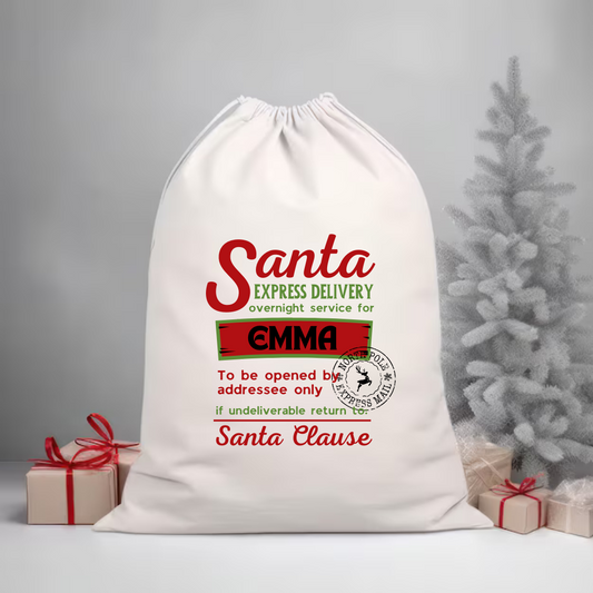Santa Express Delivery Santa Sack